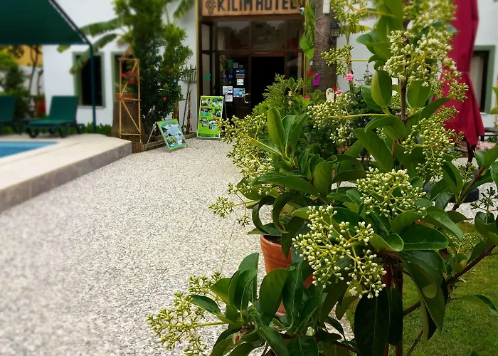 Hotel Kilim 2*