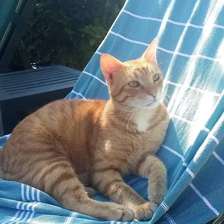 Ξενοδοχείο Kilim